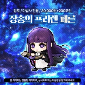 ☘︎葬送的芙莉蓮-費倫DIDU