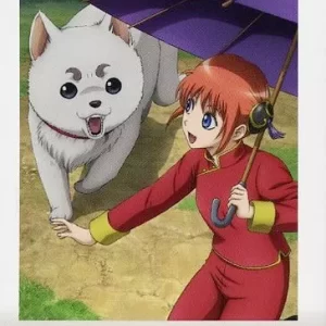 【銀魂】最強拍檔-定春&神樂