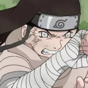 破命之羽🌙日向寧次