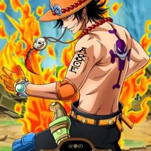 海賊王🔥火拳艾斯