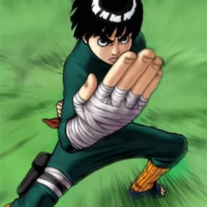 🥋 燃燒熱血・小李