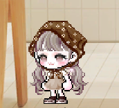 Shell-두건 시리즈