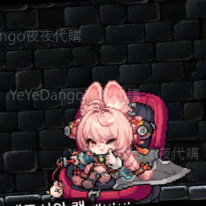 絕區零🔥照 (Zhao)